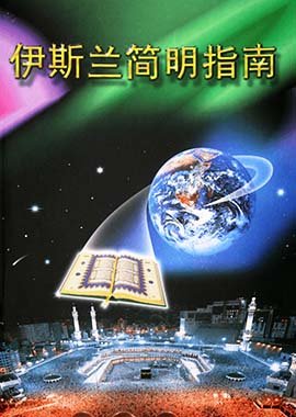 A Brief illustrated to Guide Islam - Soft Cover - 14x21 - Chinese - Darussalam UAE