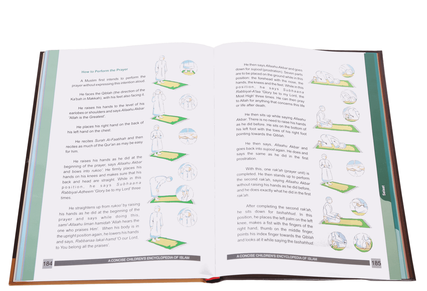 A Concise Children’s Encyclopedia of Islam - Darussalam UAE