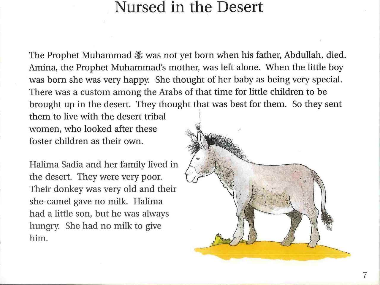 Goodnight Stories from the Life of the Prophet Muhammad - English - Darussalam UAE