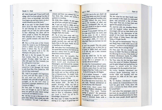 Interpretation of the Meanings of The Noble Quran - Green Cover - Darussalam UAE