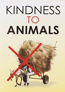 Kindness to Animals - Darussalam UAE