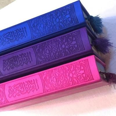Leather Embossed Rainbow Quran In beautiful different leather cover (17x24) - Darussalam UAE