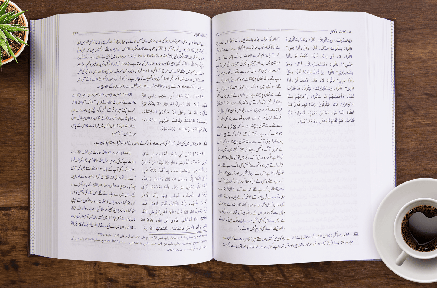 Riyadus Saliheen 2 Volume Set - Urdu - Darussalam UAE