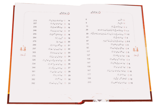 Roshni Kay Minaar (Seerat e Sahaba) - Urdu سیرت وصحابہ) روشن كے مينار) - Darussalam UAE