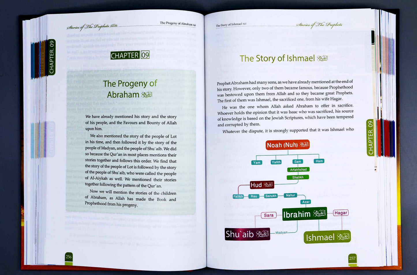 Stories of the Prophets (Peace be upon them) - Darussalam UAE