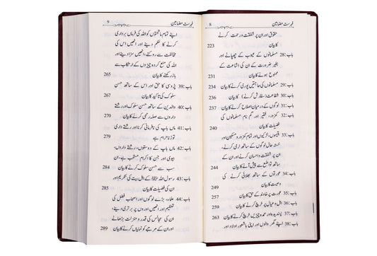 Summarized Riyadus Saliheen S/C 8x17 - Urdu مختصر رياض الصالحين اردو غلاف - Darussalam UAE