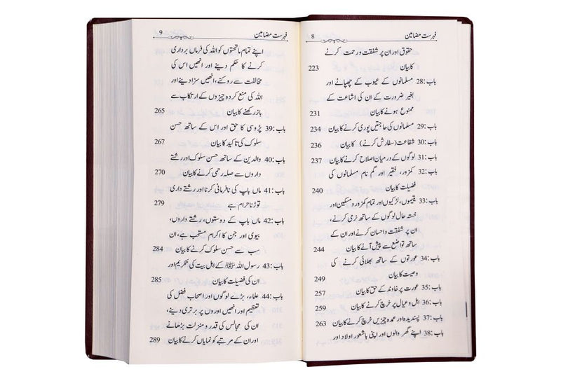 Summarized Riyadus Saliheen S/C 8x17 - Urdu مختصر رياض الصالحين اردو غلاف - Darussalam UAE