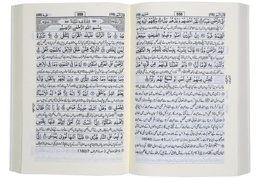 Tafseer Ahsan - ul - Kalam - Darussalam UAE