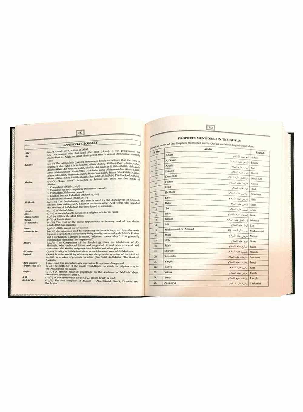 The Noble Quran With Transliteration in Roman Script - Premium Paper - Eng. 17x24 - Darussalam UAE