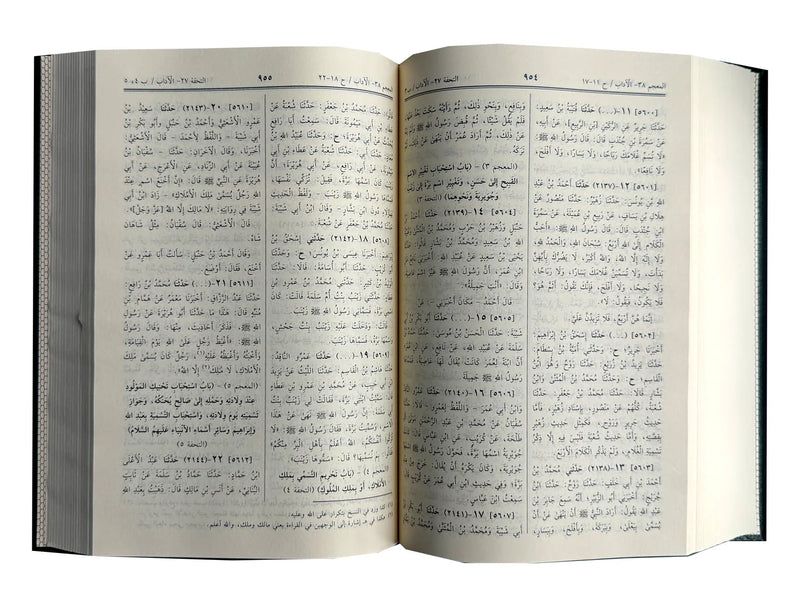 Sahih Muslim