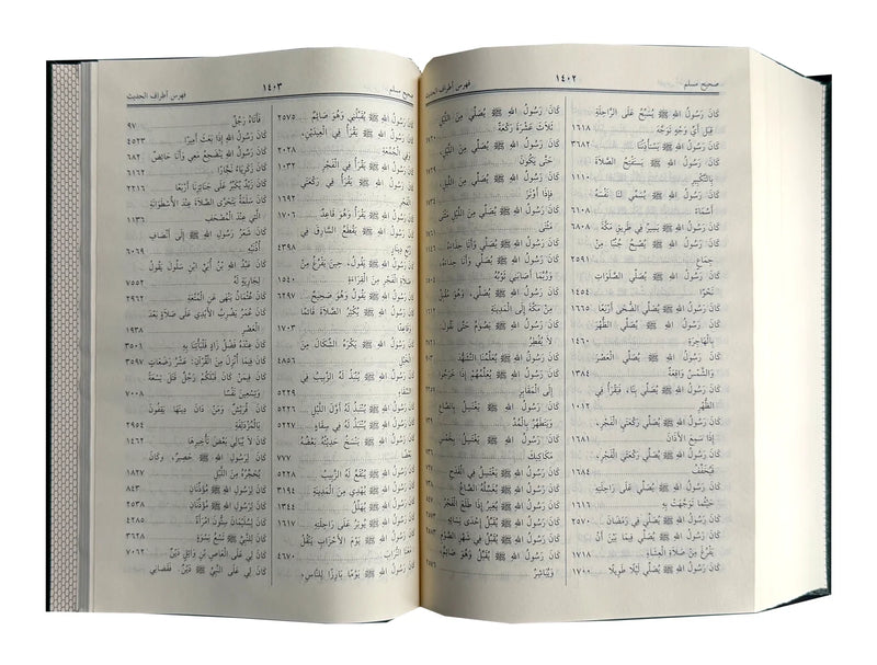 Sahih Muslim