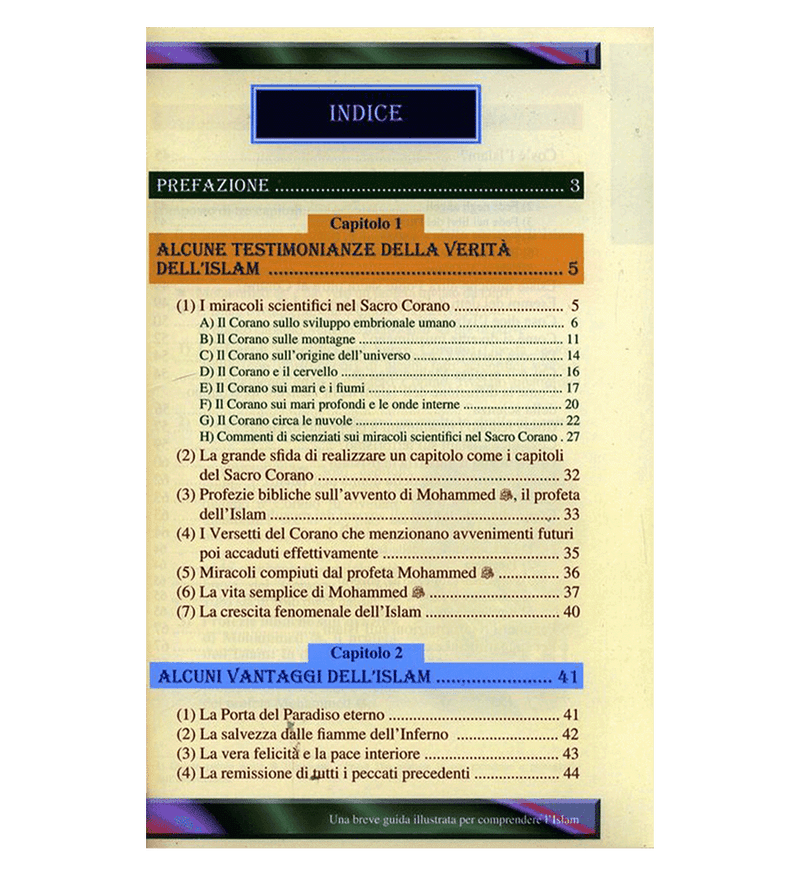 A Brief Illustrated Guide to Understanding Islam - Darussalam UAE