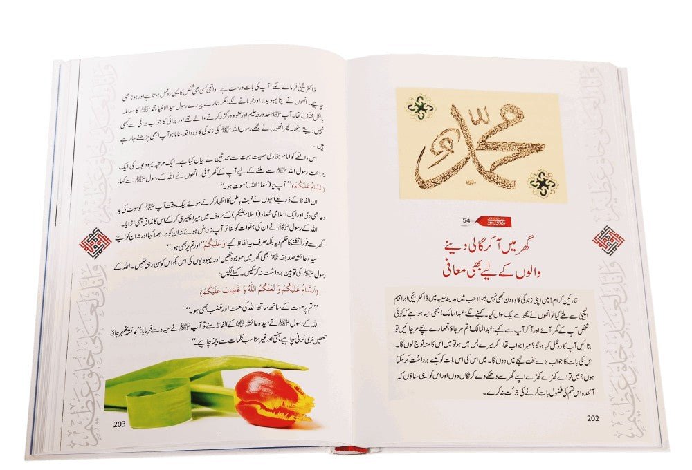 Akhlaq e Nabwi Ke Sunehre Waqiyaat - Darussalam UAE