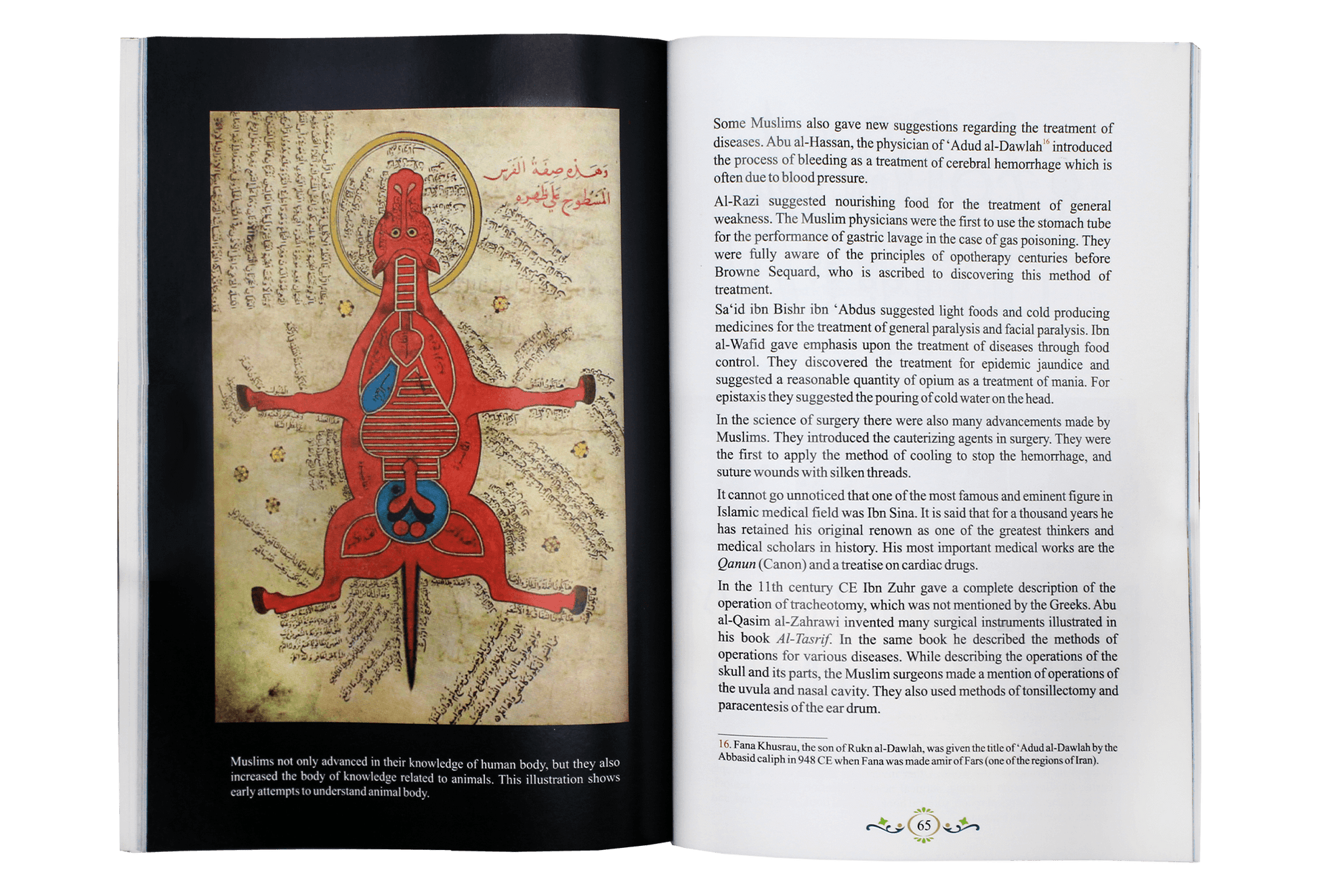 Development of Science and Technology in Islamic History - Darussalam UAE