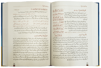Encyclopedia of sahabah - سيرت انسائكلو بيديا سيرت صحابة اكرام 17×24 - Darussalam UAE