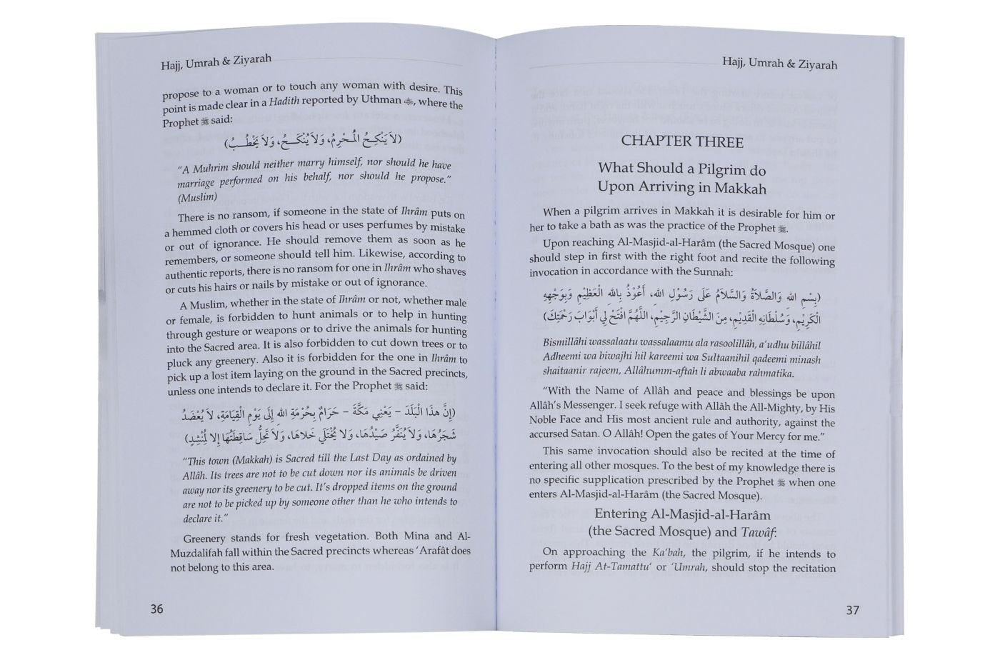 Hajj Umrah and Ziyarah 14x21 - English Secondary image