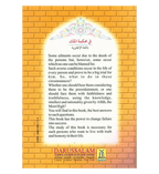 In the Kings Court - Darussalam UAE