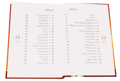 Roshni Kay Minaar (Seerat e Sahaba) - Urdu سیرت وصحابہ) روشن كے مينار) - Darussalam UAE