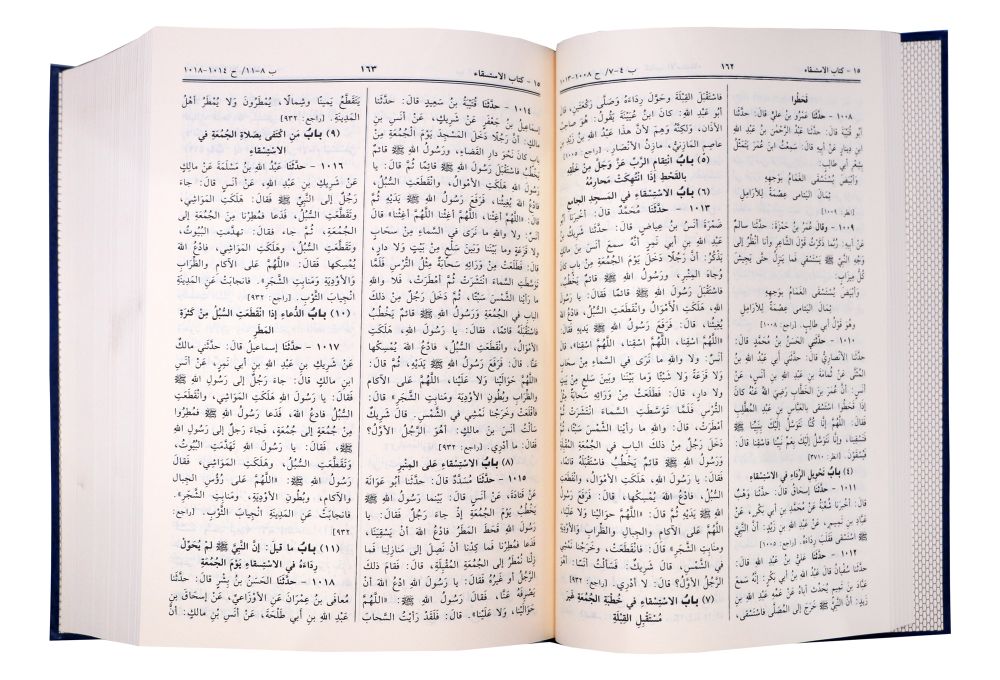 Sahih Al - Bukhari - Arabic - Darussalam UAE