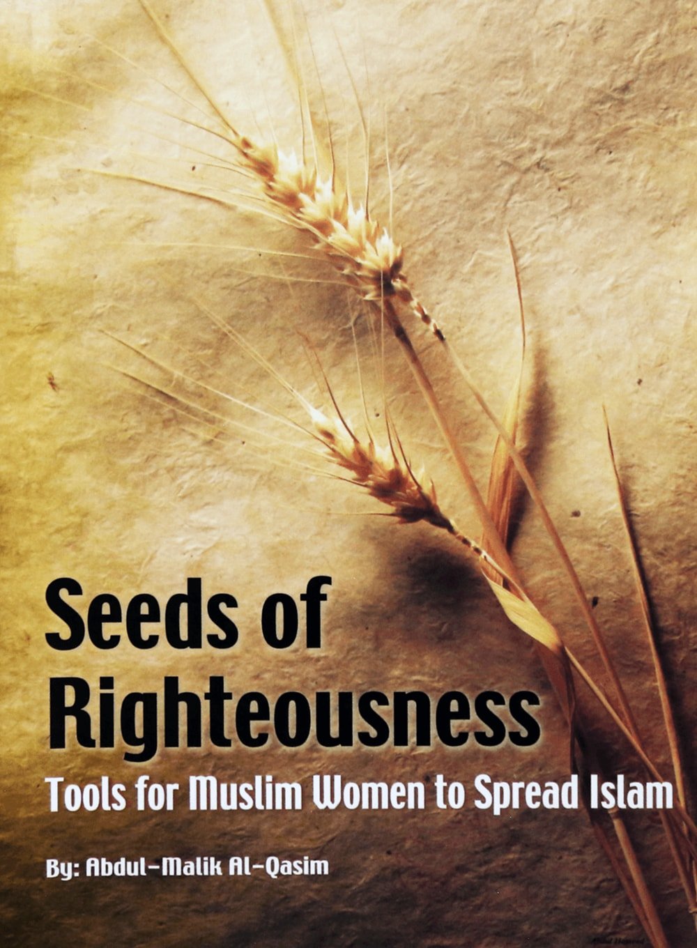 Seed of Righteousness - Darussalam UAE Main image