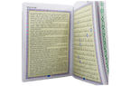 Selected Surahs and Supplications from The Quran - Darussalam UAE