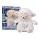 Sheepy the Sleepy time Sheep - Darussalam UAE