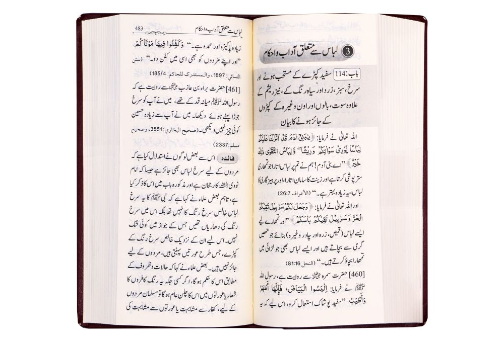 Summarized Riyadus Saliheen S/C 8x17 - Urdu مختصر رياض الصالحين اردو غلاف - Darussalam UAE