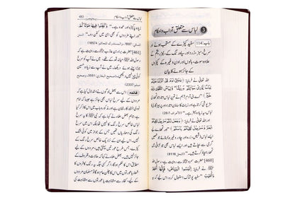 Summarized Riyadus Saliheen S/C 8x17 - Urdu مختصر رياض الصالحين اردو غلاف - Darussalam UAE