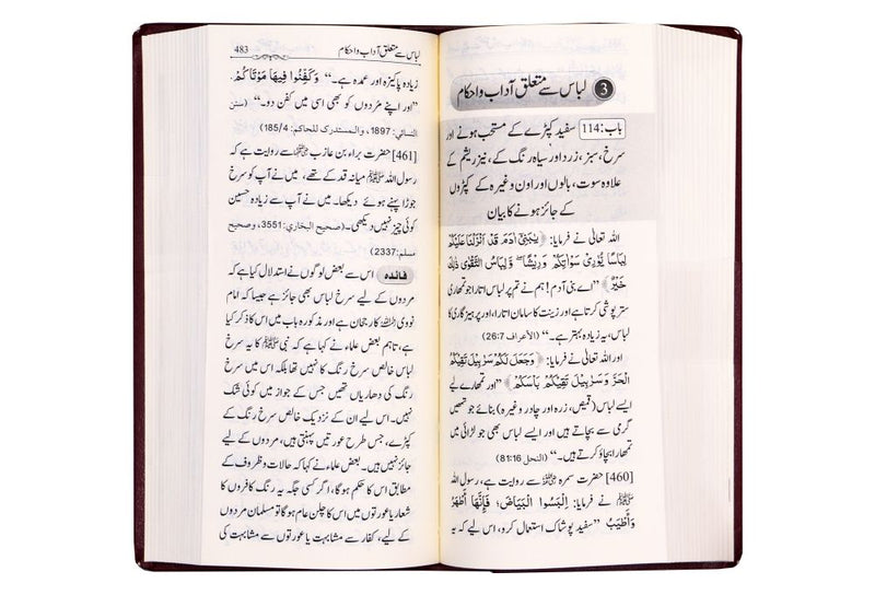 Summarized Riyadus Saliheen S/C 8x17 - Urdu مختصر رياض الصالحين اردو غلاف - Darussalam UAE