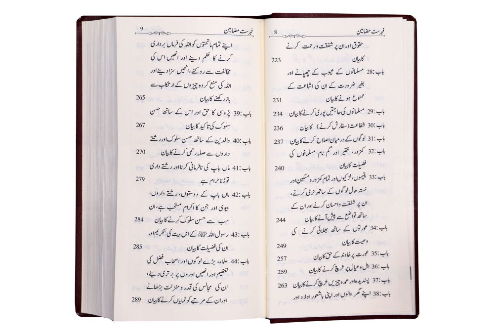 Summarized Riyadus Saliheen S/C 8x17 - Urdu مختصر رياض الصالحين اردو غلاف Secondary image