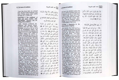 Summarized Sahih Al - Bukhari - Darussalam UAE