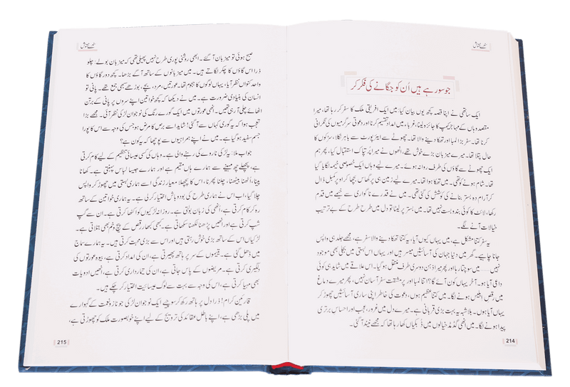 Sunehray Naqoosh - Darussalam UAE