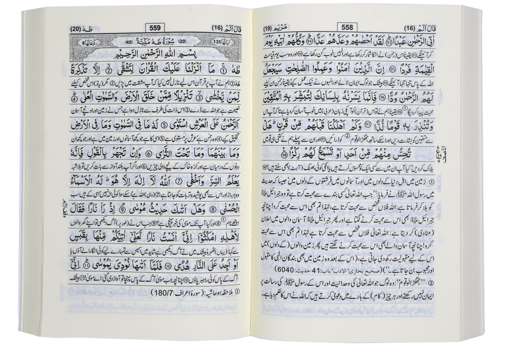 Tafseer Ahsan - ul - Kalam - Darussalam UAE