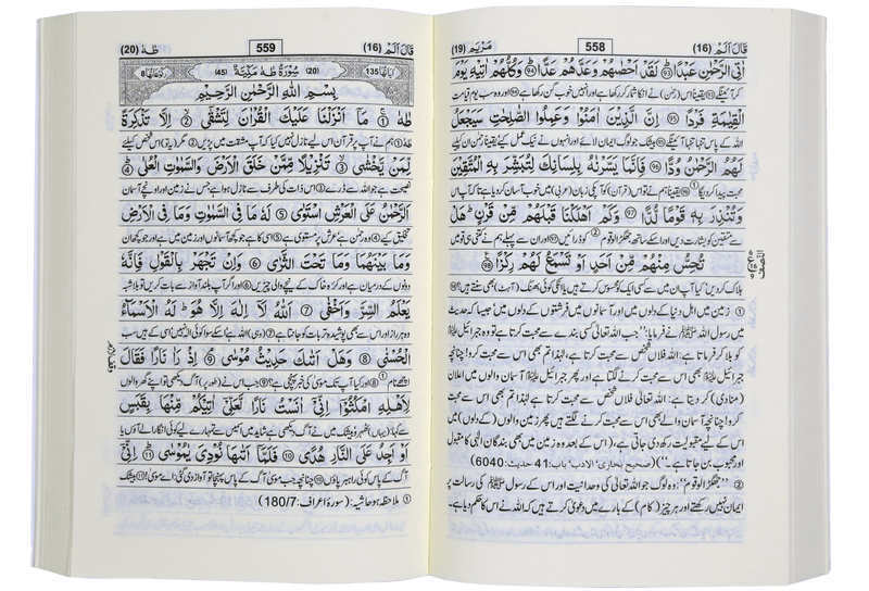 Tafseer Ahsan - ul - Kalam - Darussalam UAE
