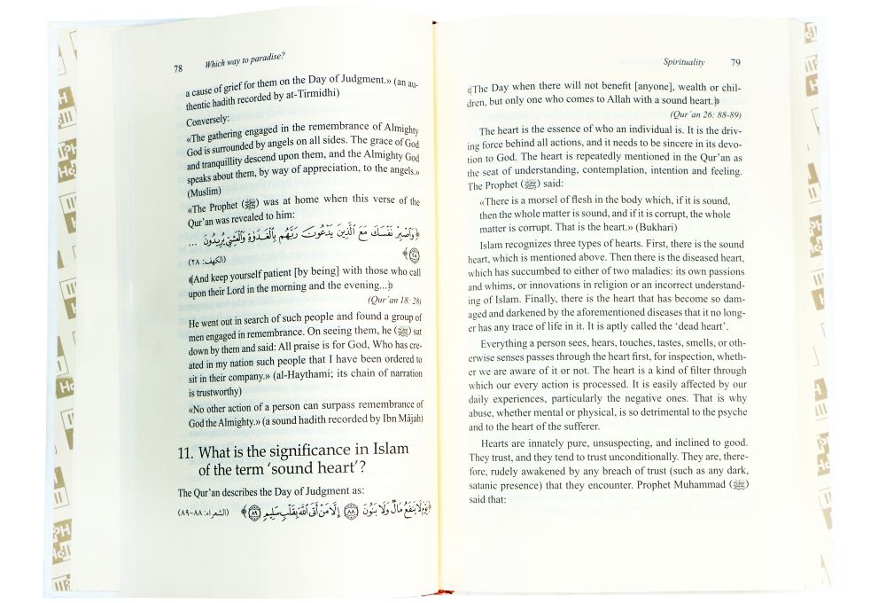 Which Way to Paradise? - English Secondary image